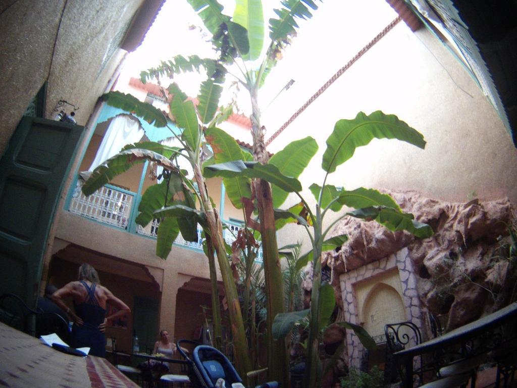 Riad Dar Mchicha Marraquexe Exterior foto