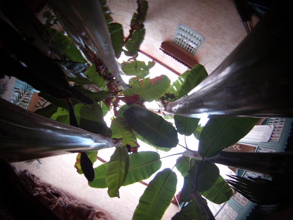 Riad Dar Mchicha Marraquexe Exterior foto