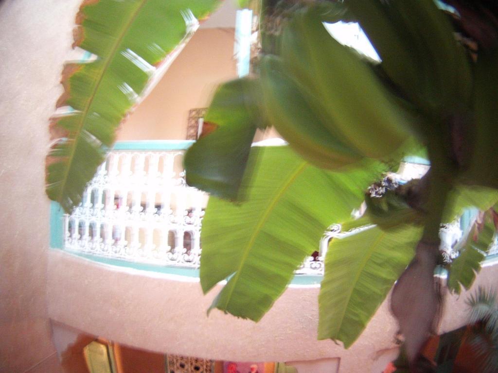 Riad Dar Mchicha Marraquexe Exterior foto