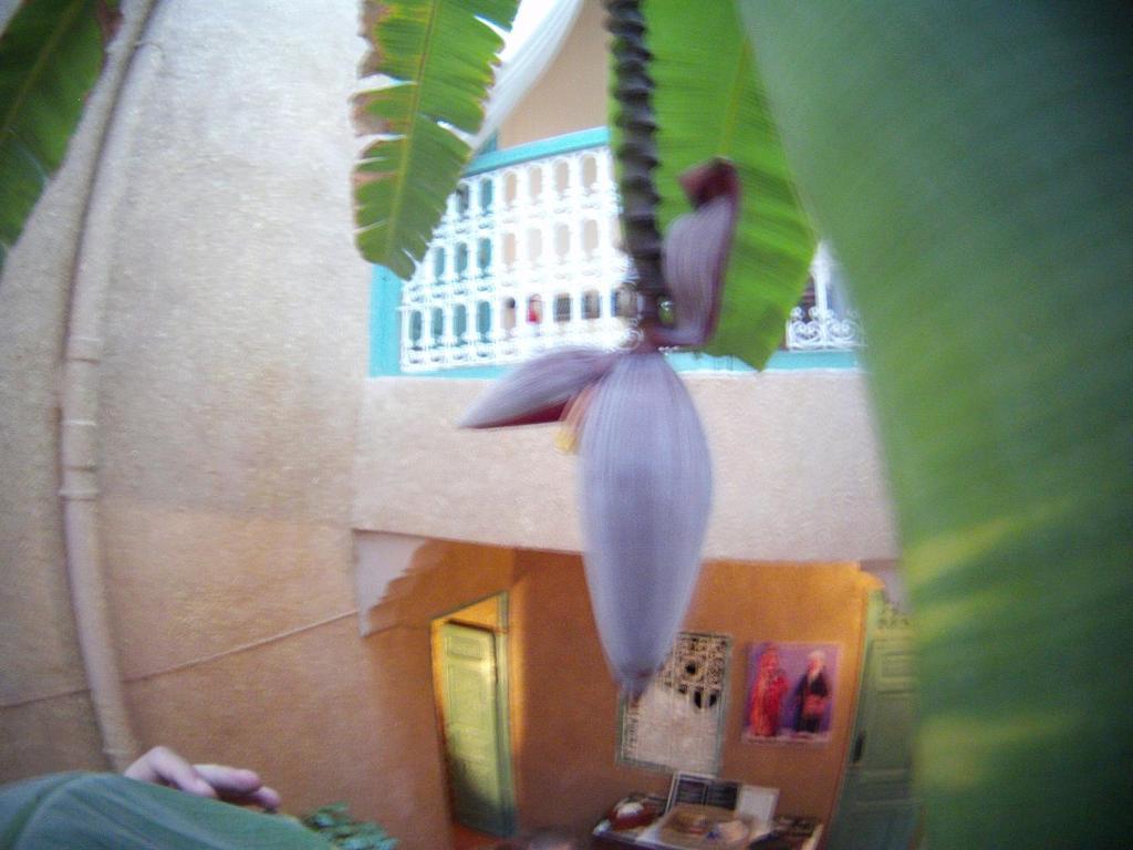Riad Dar Mchicha Marraquexe Exterior foto