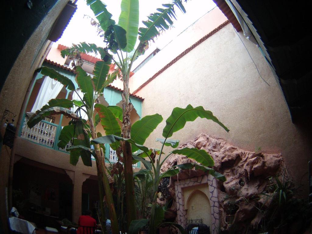 Riad Dar Mchicha Marraquexe Exterior foto