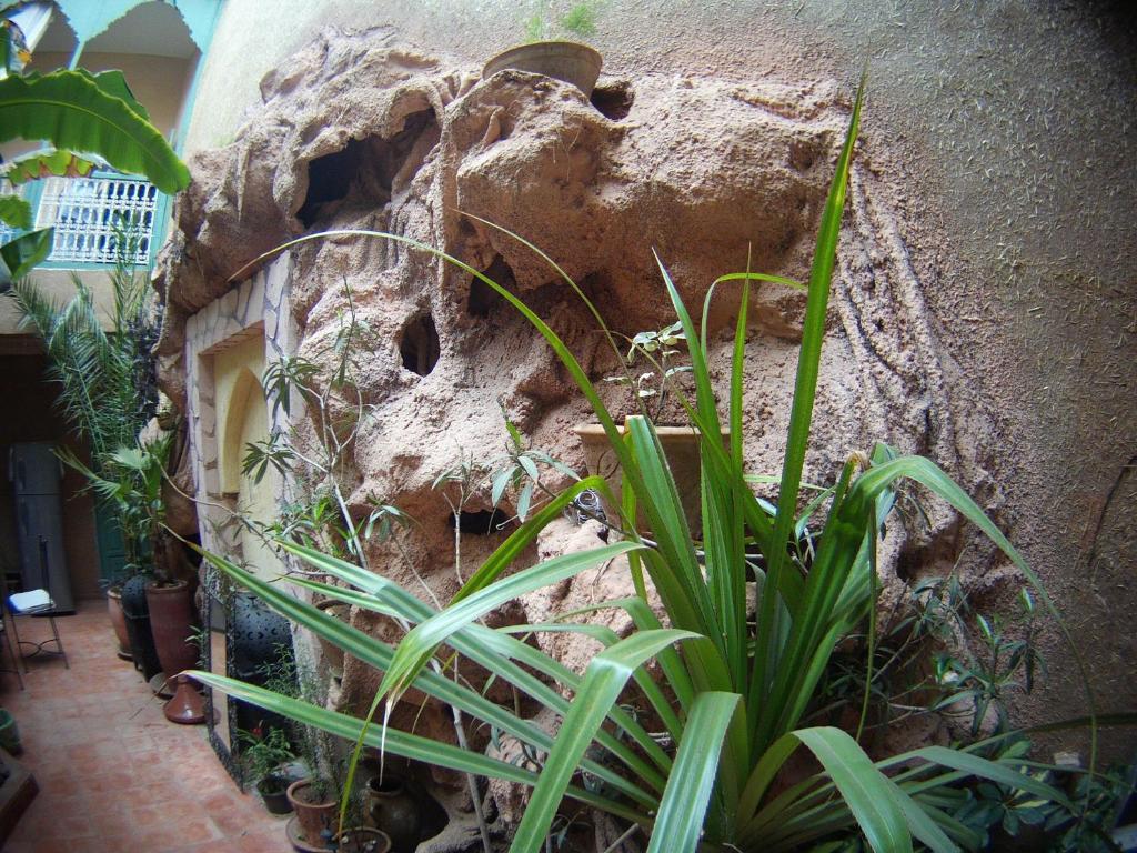 Riad Dar Mchicha Marraquexe Exterior foto